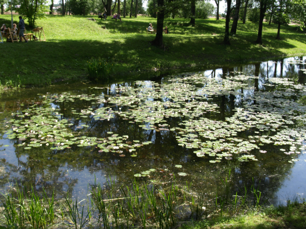 udensrozes