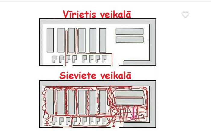 viritiesisieviete1