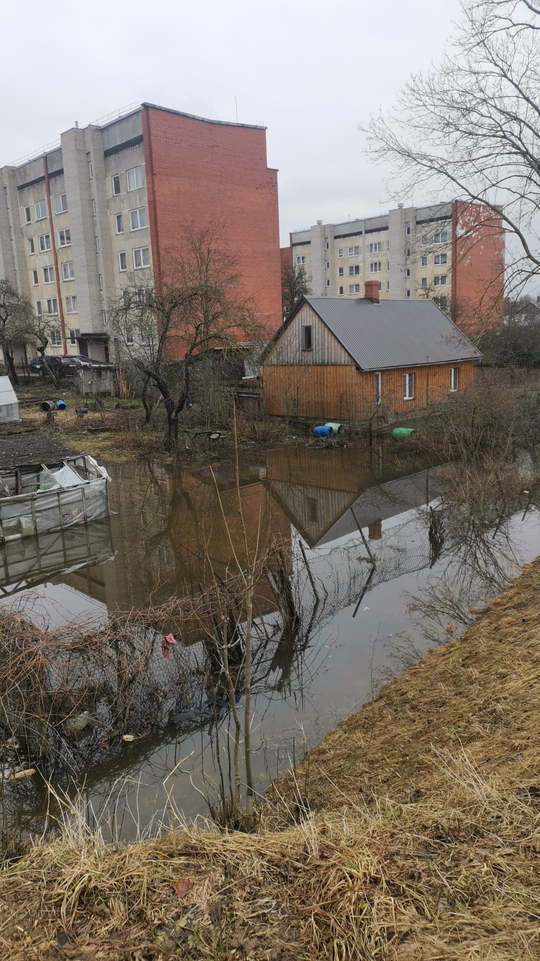 Aculiecinieka foto: Plūdi Jēkabpilī, Daugavas labais krasts – Krustpils ...