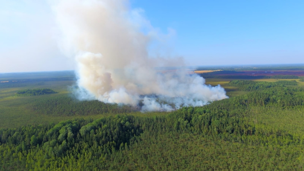 Пожар на Гаргродском болоте удалось ограничить