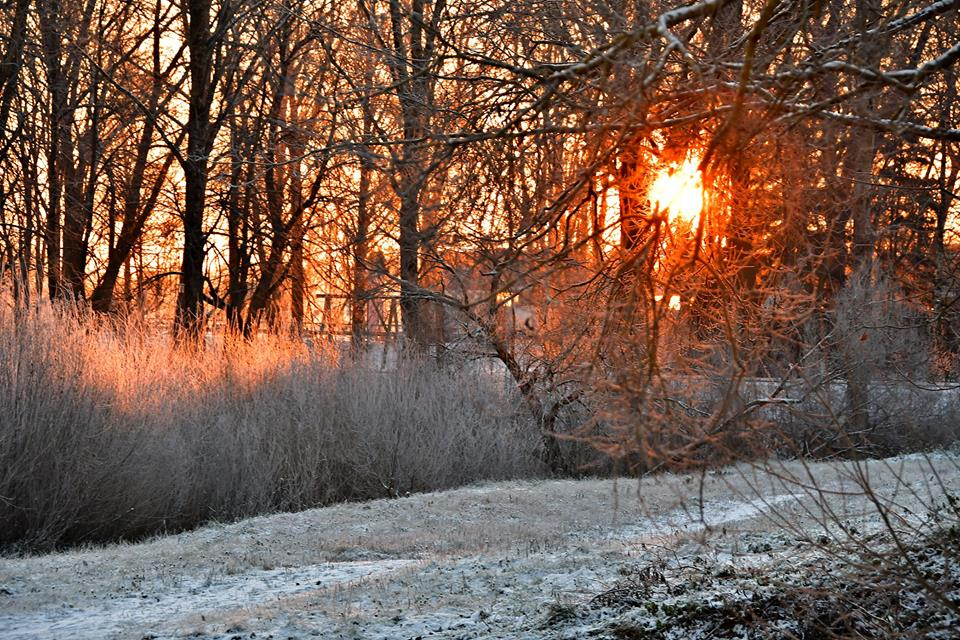 Kādu decembri - Vilku, Ziemas un Svētku mēnesi - prognozē laika vērotājs?