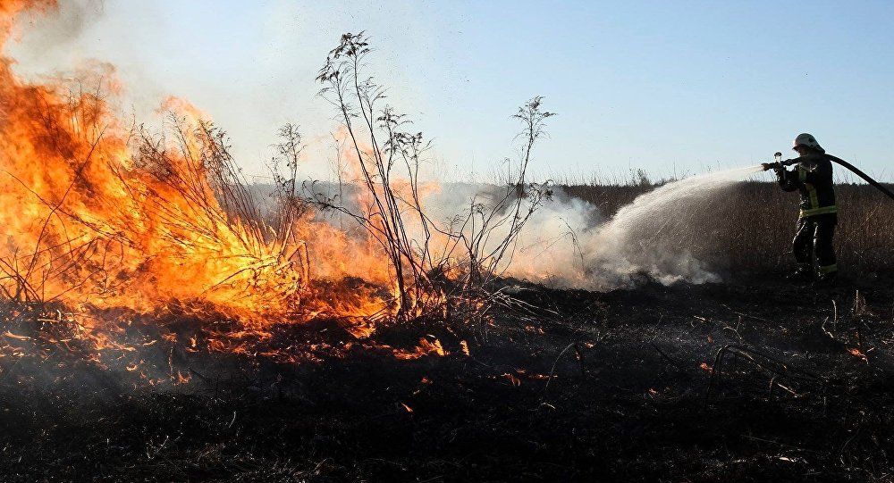 Brīvdienās Zemgalē dzēsts 41 kūlas ugunsgrēks, visvairāk darba bijis Jēkabpils ugunsdzēsējiem