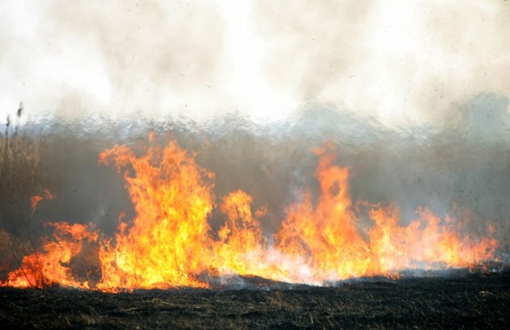 Pļaviņu novadā pieķerts kūlas dedzinātājs