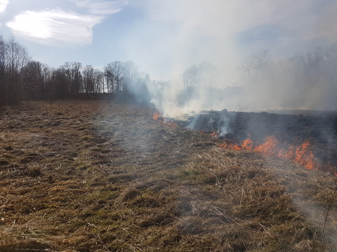 Jēkabpilī kūla degusi astoņu hektāru platībā, Iecavā cietis ugunsdzēsējs
