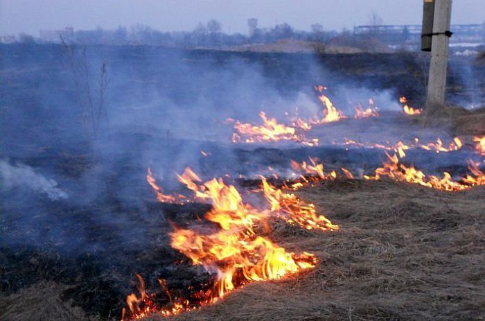 Pļaviņu novadā dzēsts meža ugunsgrēks, Jēkabpilī kūla kārtējo reizi degusi astoņos hektāros
