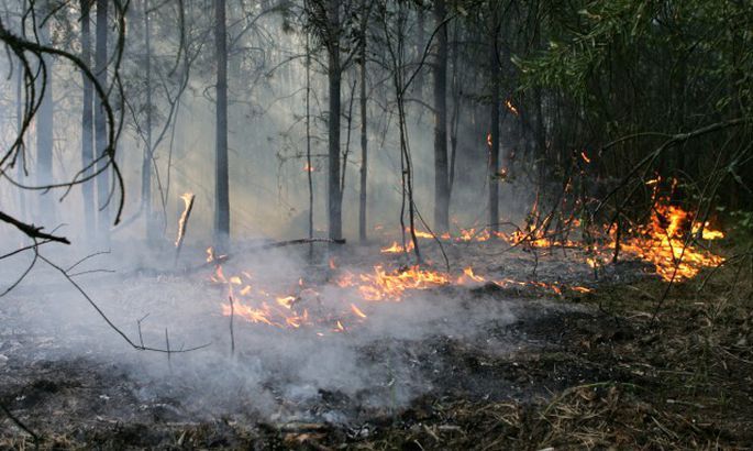 Zemgalē ugunsdzēsēji glābēji dzēsa 20 kūlas un 3 meža ugunsgrēkus