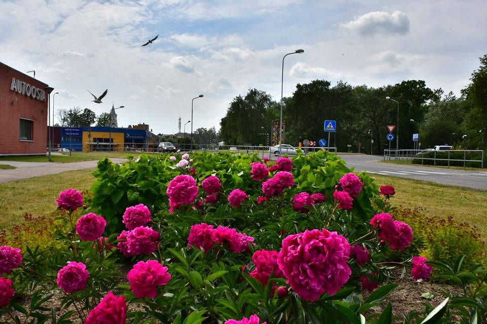 Ilgtermiņa prognozes:Gaidāma karsta un sausa vasara, augusts solās būt vēsākais un mitrākais mēnesis