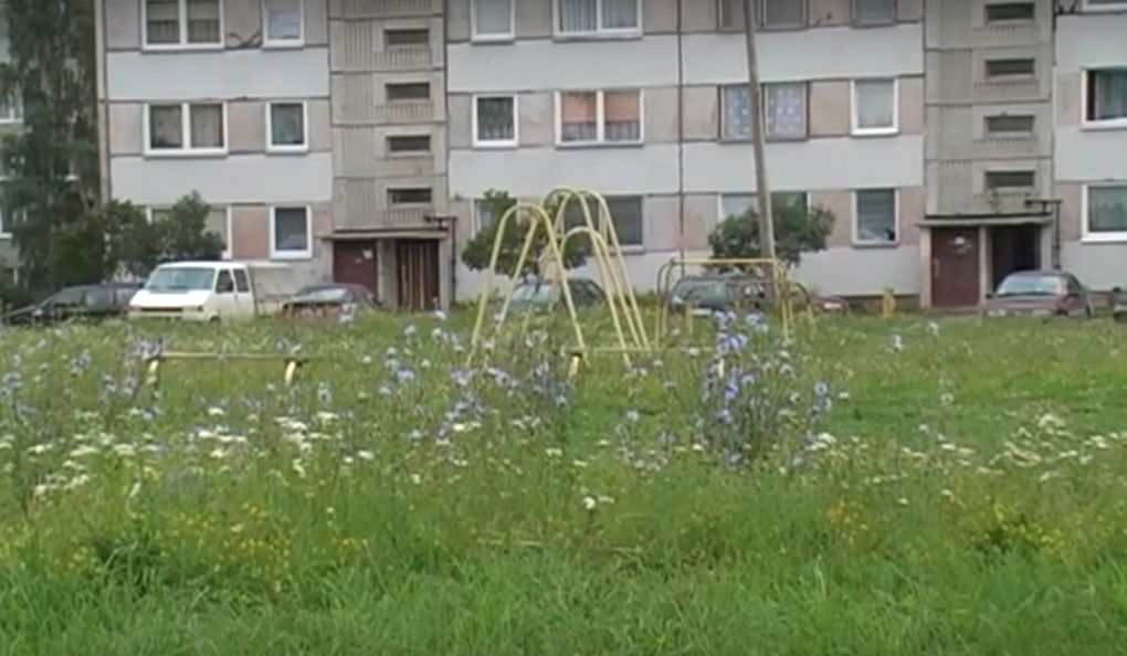 Lūdz Jēkabpils daudzdzīvokļu māju iedzīvotājus nenovietot automašīnas tuvu zaļajai zonai. Sāksies zāles pļaušana