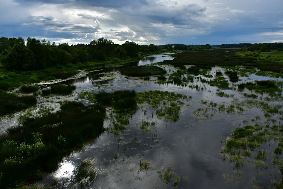 Jūlija pirmā dekāde bijusi aukstāka un daudzkārt lietaināka par normu