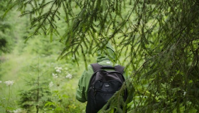 Salas novadā mežā apmaldās divi sēņotāji