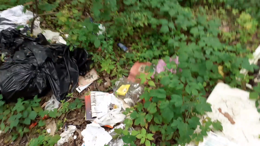 Aculiecinieks ar video informē par nelegālu sadzīves atkritumu izgāztuvi mežā pie pilsētas