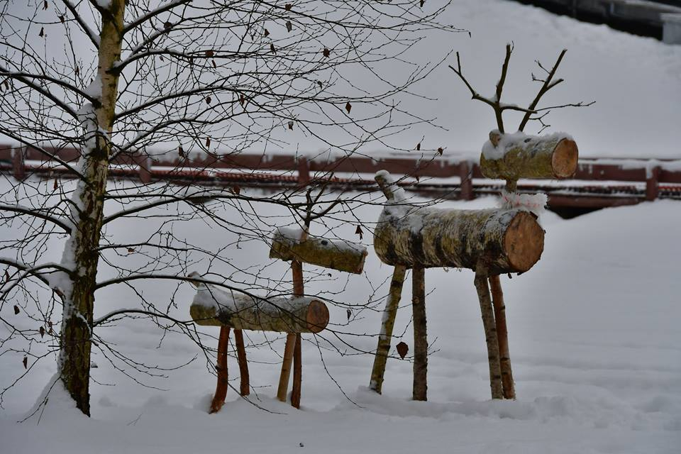 Kādu laiku prognozē decembrī - Vilku, Ziemas un Svētku mēnesī?