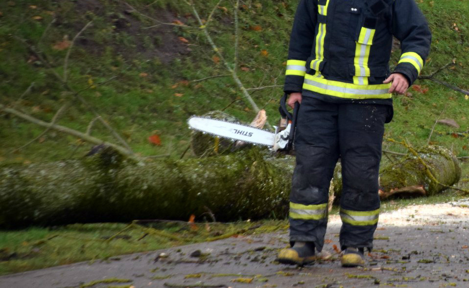 Jēkabpils novada Ābeļu pagastā glābēji saukti novākt no ceļa vējā lūzušu koku