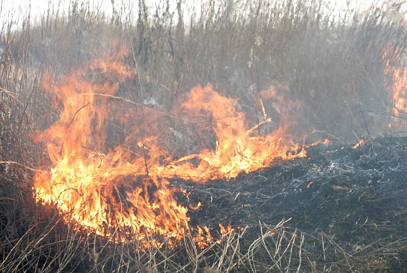 Jēkabpilī pirmdien dzēsts kārtējais kūlas ugunsgrēks