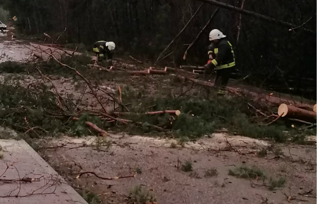 Brīvdienās ugunsdzēsēji glābēji no ceļa braucamās daļas Jēkabpilī, Gārsenē un Sēlpilī novāca nolauztus kokus