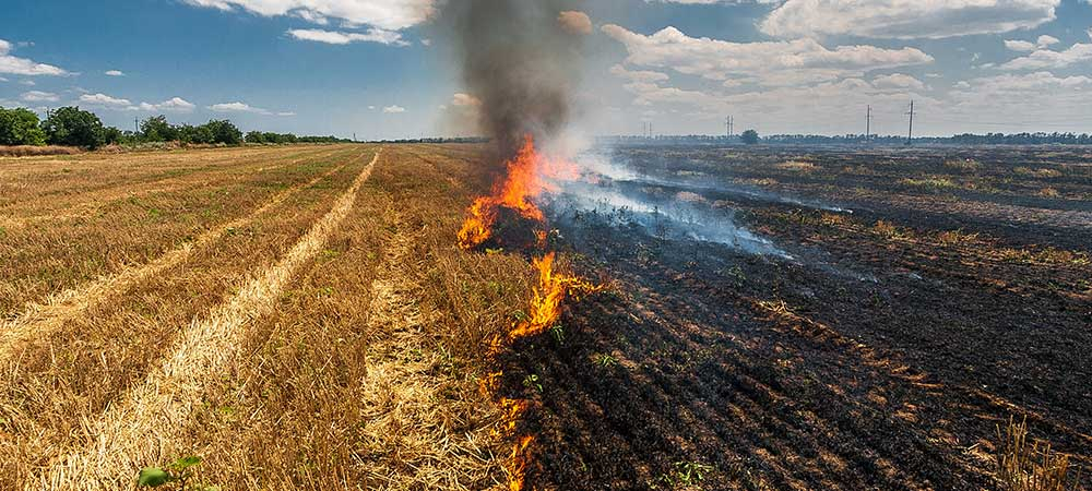 Jēkabpilī dzēsta degoša automašīna, Sēlpilī – labības rugāji