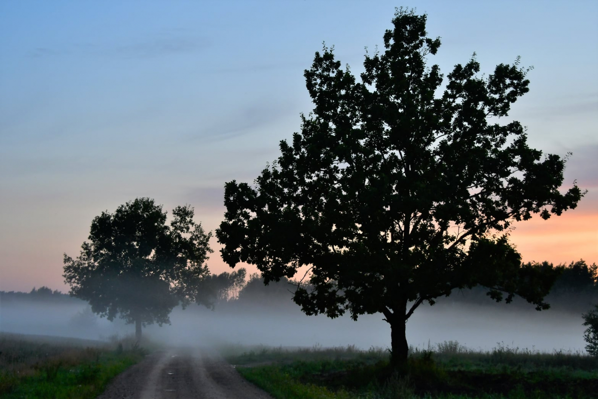 Latvijā pamazām sākas meteoroloģiskais rudens