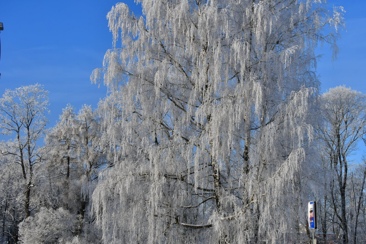 Jēkabpils Radio1 ziņas 2021.gada 9.decembrī