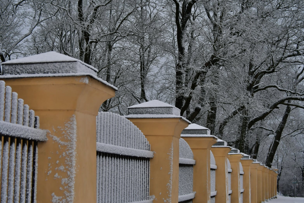 Jēkabpils Radio1 ziņas 2022.gada 25.janvārī