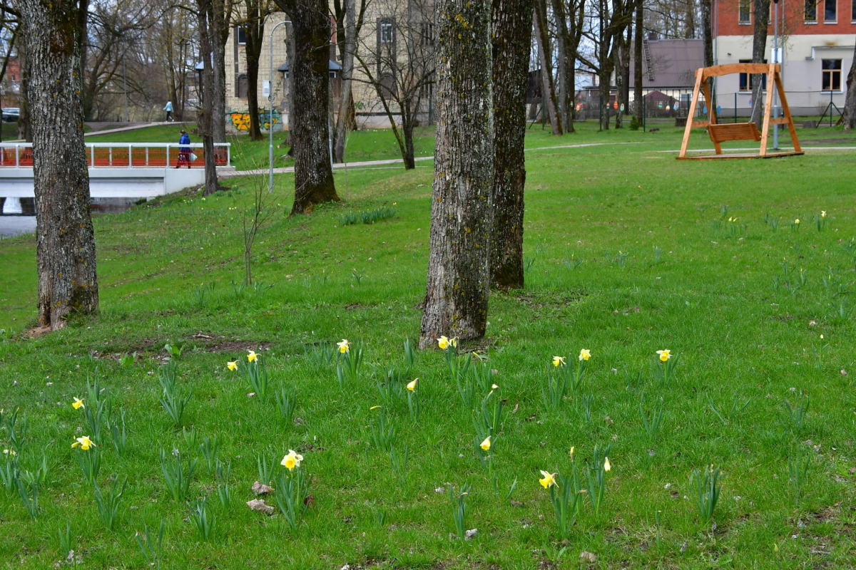 Jēkabpils Radio1 ziņas 2022.gada 26.aprīlī