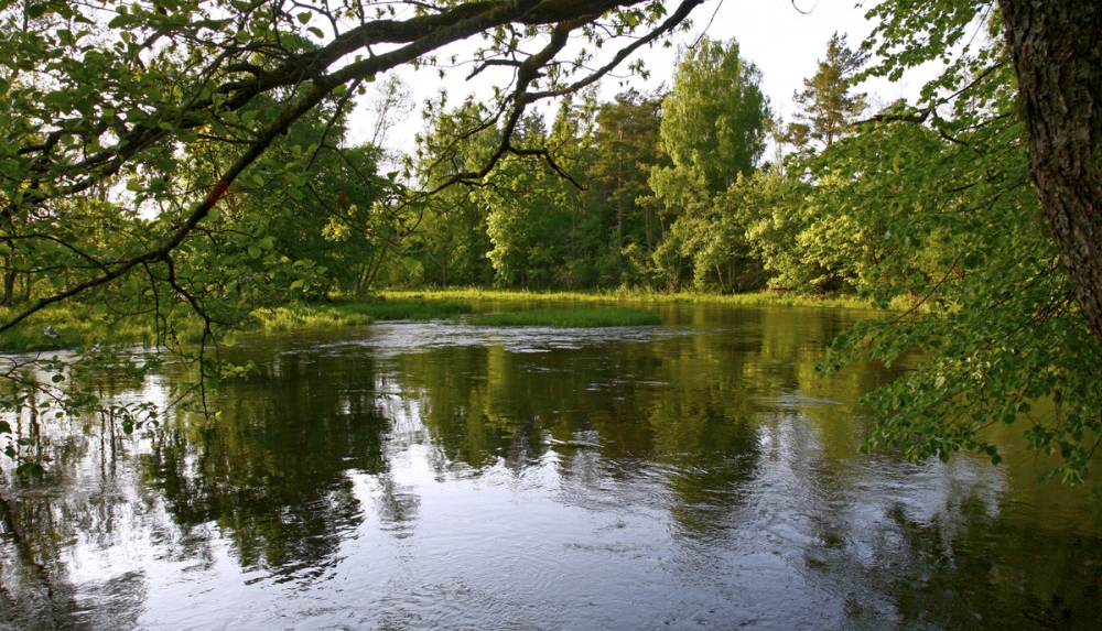 Gārsenes pagastā no Dienvidsusējas izcelts noslīcis cilvēks