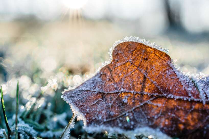 Prognoze: Septembris auksts kā oktobris; nākamnedēļ kļūs vēl vēsāks