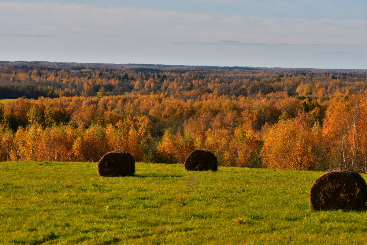 Jēkabpils Radio1 Novadu ziņas 2022.gada 4.novembrī