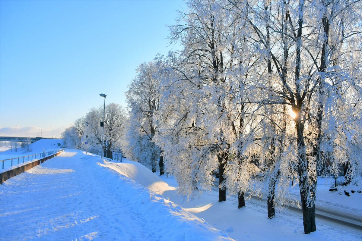 Šonedēļ sniega segas biezums Latvijā vietām sasniegs 30 centimetrus
