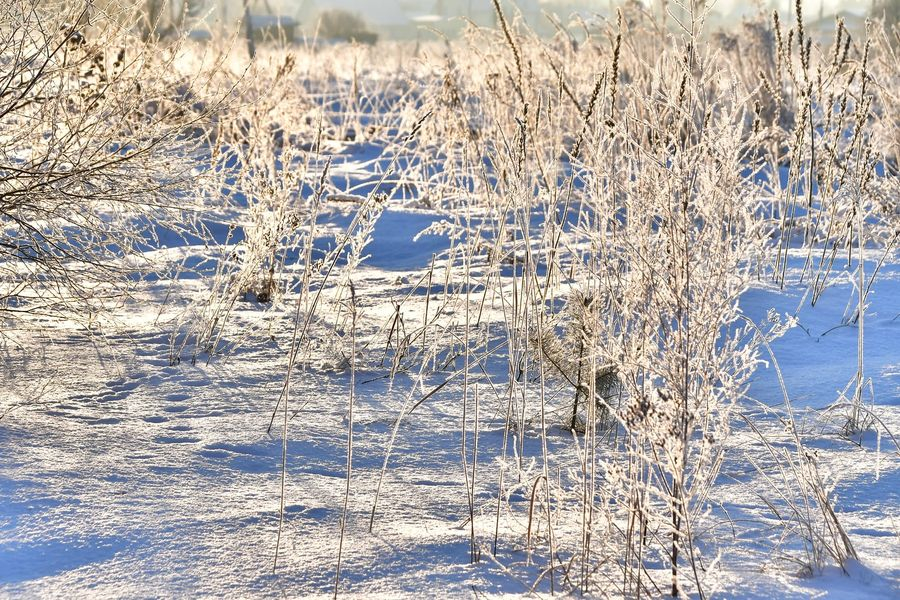 Jēkabpils Radio1 Novadu ziņas 2022.gada 6.decembrī