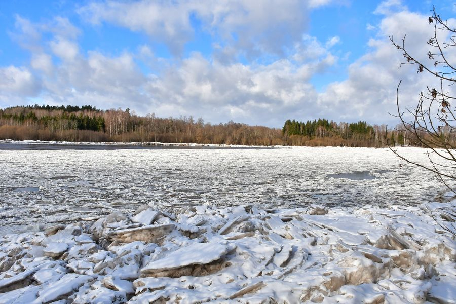 Daugava pie Zeļķiem appludina palienes un zemākās vietas, izsludināts dzeltenais brīdinājums