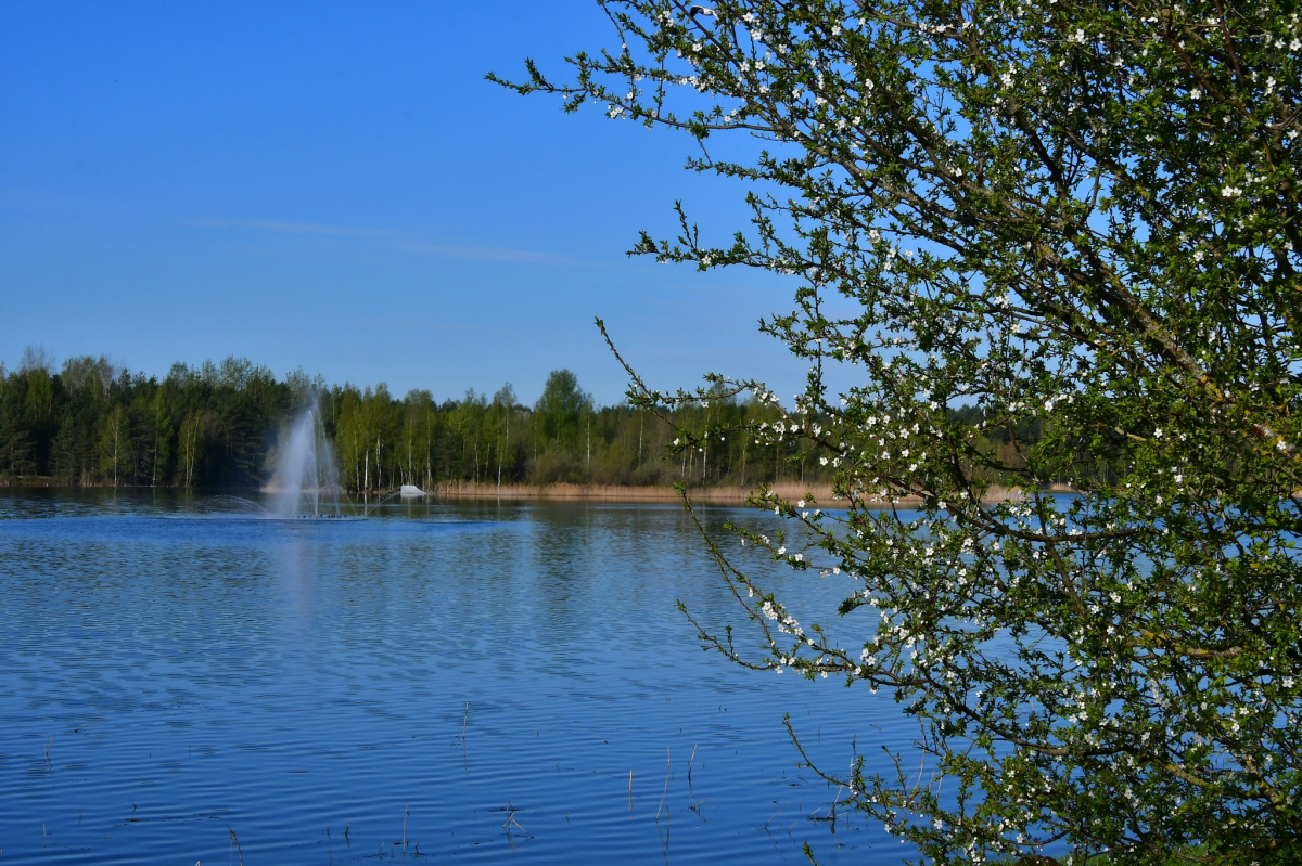 Jau 14.reizi Jēkabpils Radžu ūdens krātuves peldvieta saņem Zilā karoga sertifikātu