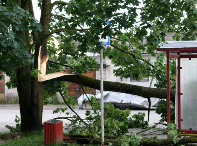 "Latvijas valsts ceļi" aicina ziņot par vējā kritušajiem kokiem un ceļu izskalojumiem