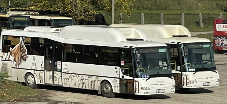 SIA "Jēkabpils autobusu parks""  izsludinājis atkārtoti atklāto konkursu videi draudzīgu autobusu iegādei