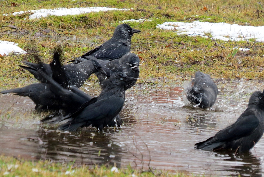 Šonedēļ gaidāmas stipras vēja brāzmas un temperatūras pazemināšanās