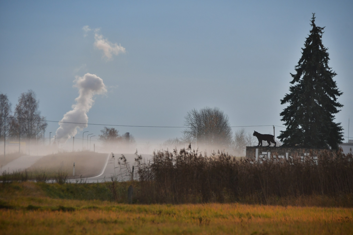 Jēkabpils Radio1 ziņas 2023.gada 22.novembrī