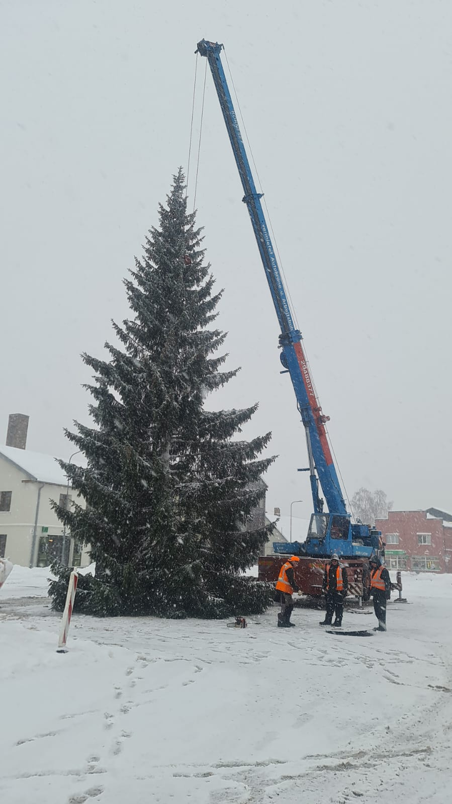 Jēkabpils galveno egli iedegs pirmajā adventē – 3.decembrī (EGĻU IEDEGŠANAS PASĀKUMU NOVADĀ SARAKSTS)