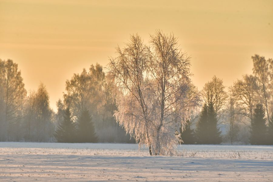 Jēkabpils Radio1 Novadu ziņas 2023.gada 12.decembrī