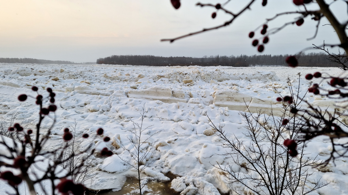 Daugavas palos bojāts aizsargdambis Aizkraukles novada Gostiņos