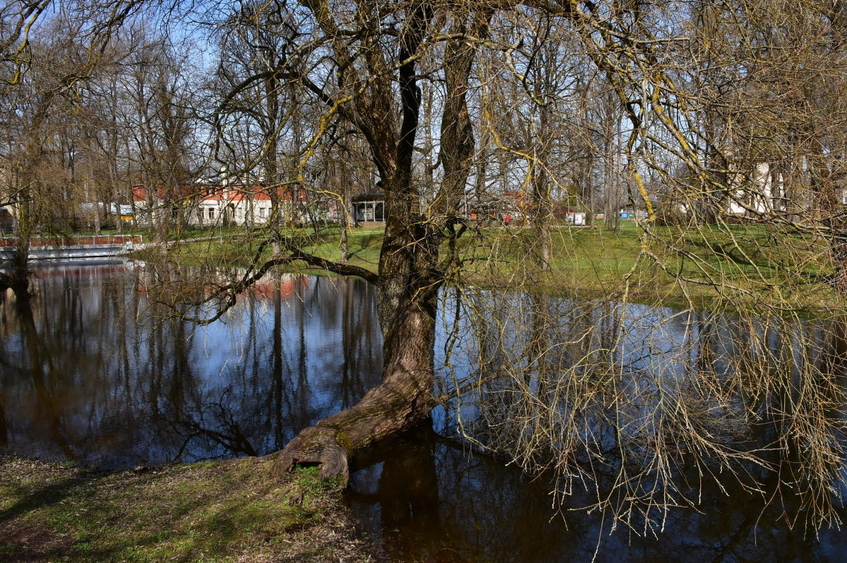 Lielajā talkā gaidāms pārsvarā saulains laiks