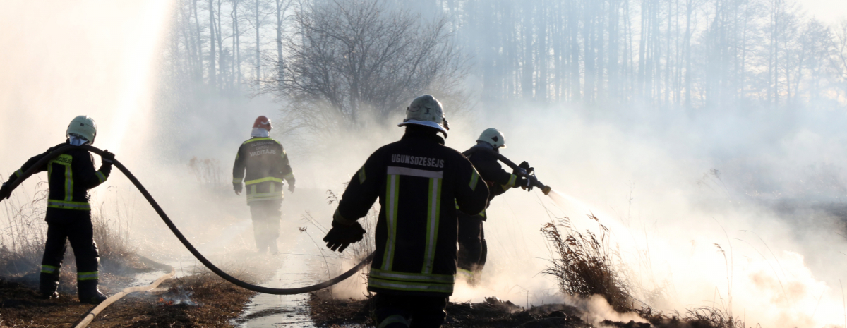 Teiču dabas rezervātā izcēlies meža ugunsgrēks 2,5 hektāru platībā