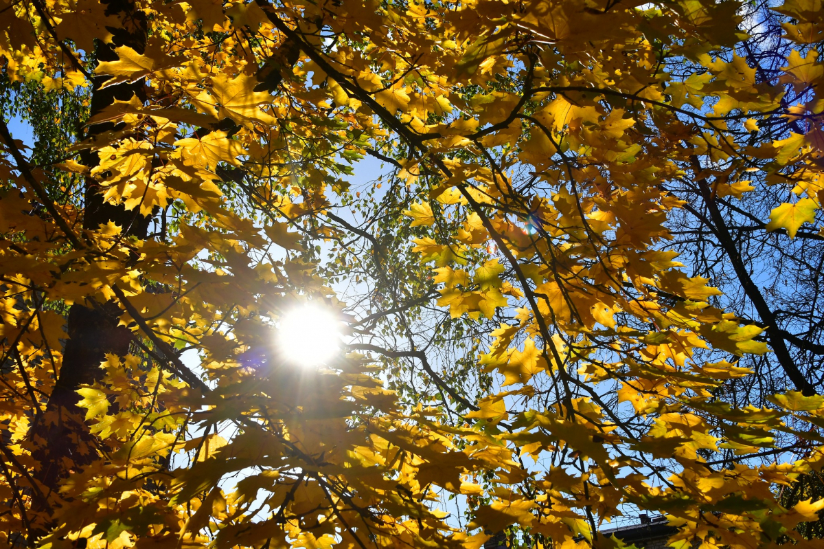 22.septembrī sāksies astronomiskais rudens