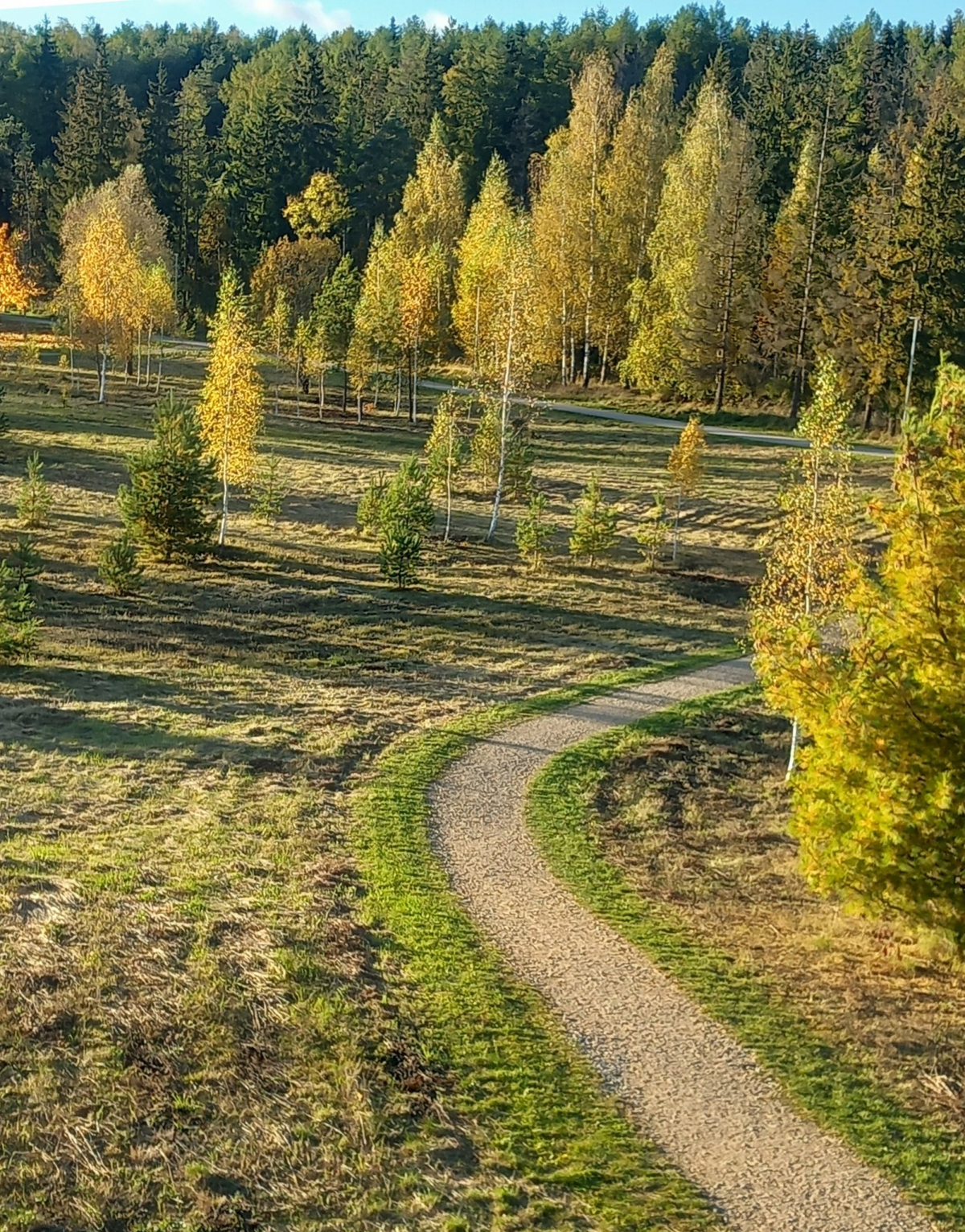 Jēkabpils Radio1 ziņas 2025.gada 16.oktobrī