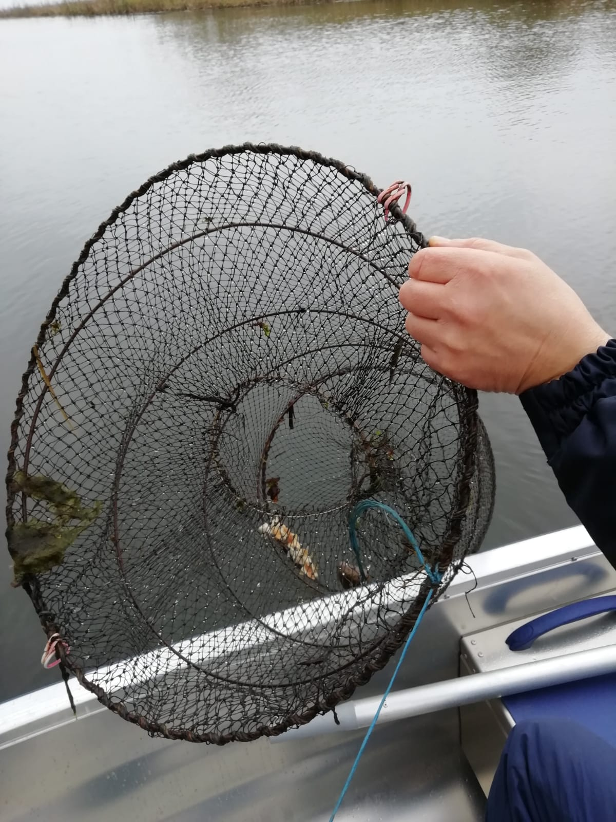 Jēkabpils dome aptur rūpnieciskās zvejas iespējas Daugavā