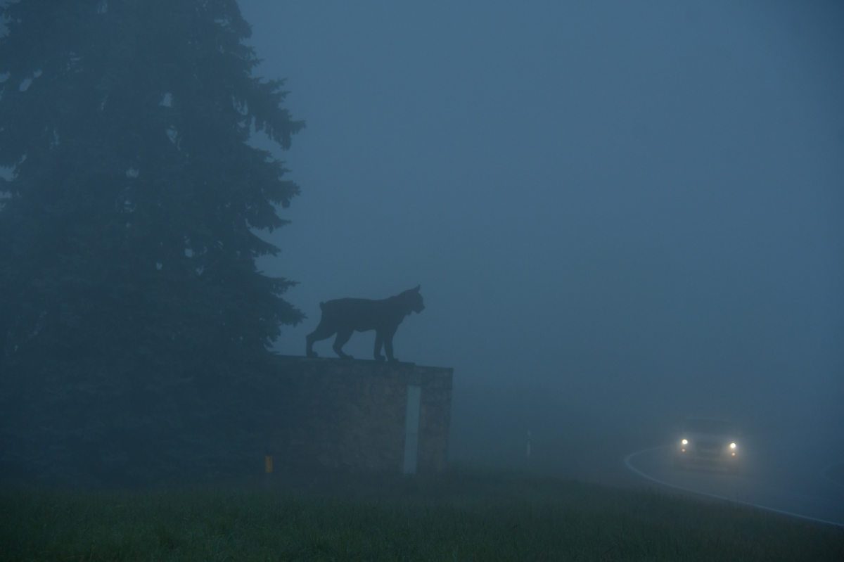 Sākas gada tumšākie trīs mēneši