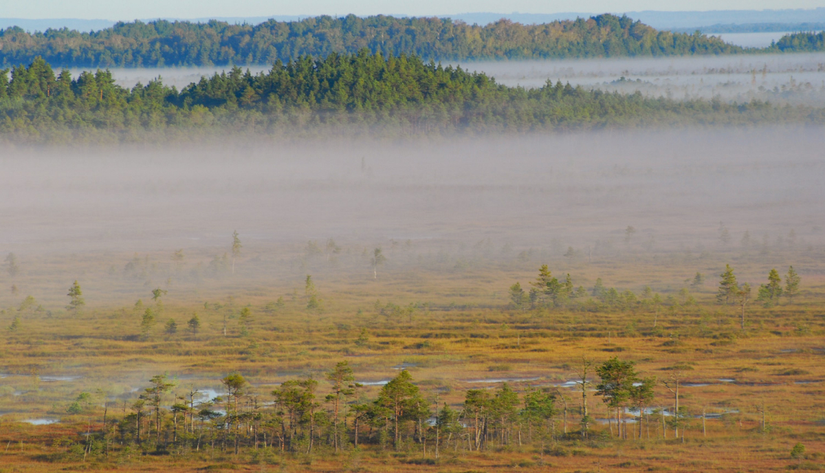 Uzsākta Teiču rezervāta dabas aizsardzības plāna izstrāde