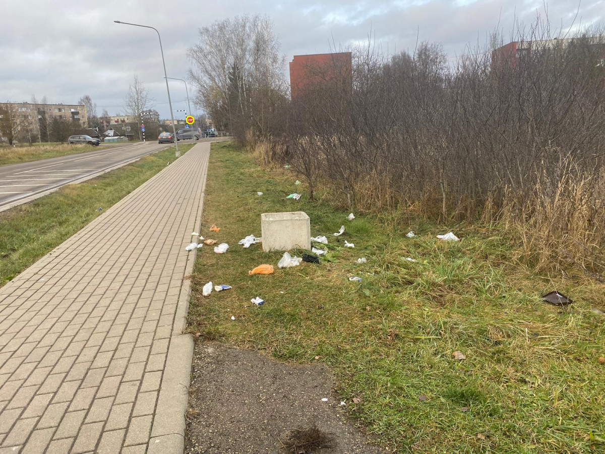 Mums raksta: Viestura ielas miskastes joprojām izvazā putni. Pašvaldība ziņo, ka situācija atrisināta