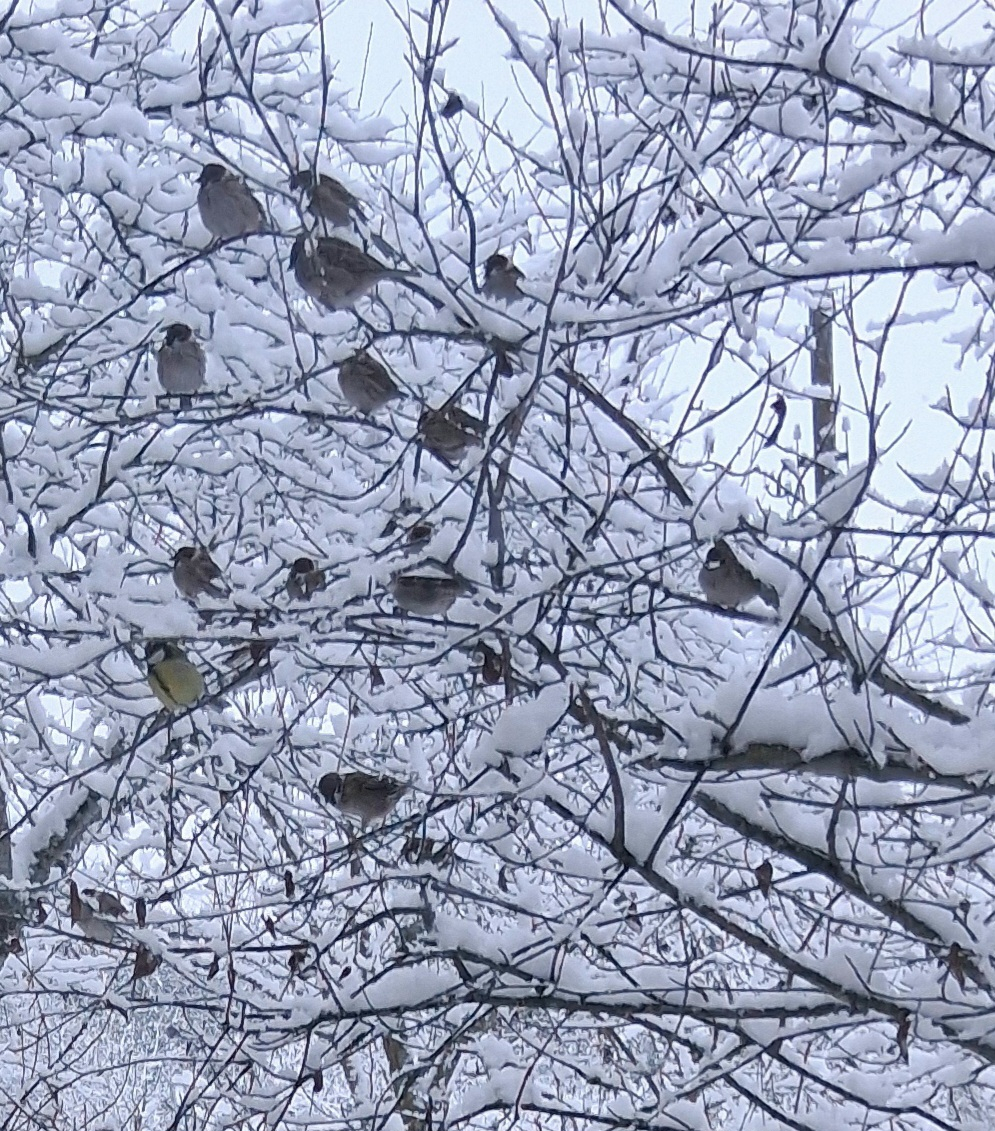Jēkabpils Radio1 ziņas 2026.gada 6.janvārī