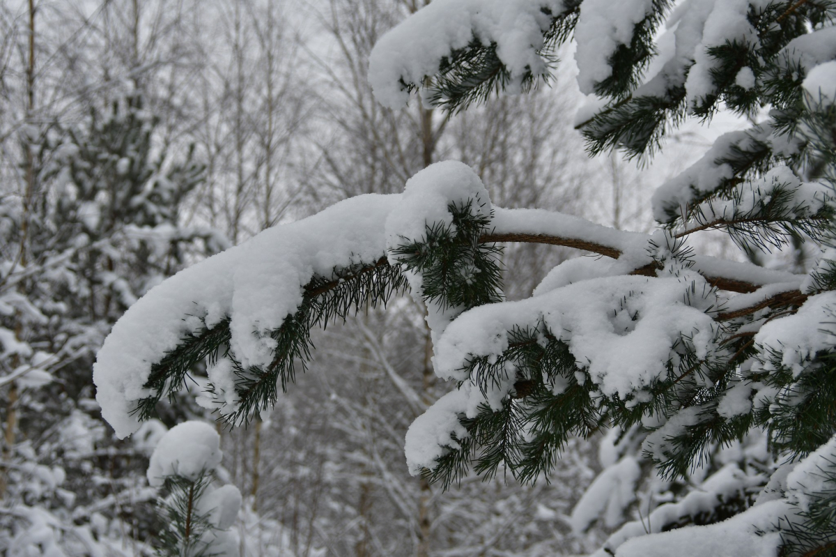 Jēkabpils Radio1 ziņas 2026.gada 9.janvārī