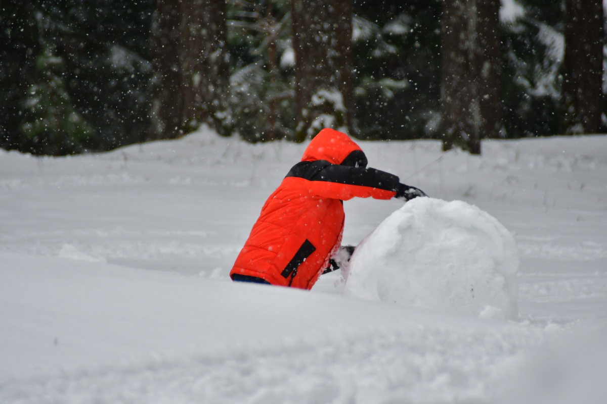 Jēkabpils Radio1 ziņas 2026.gada 16.janvārī