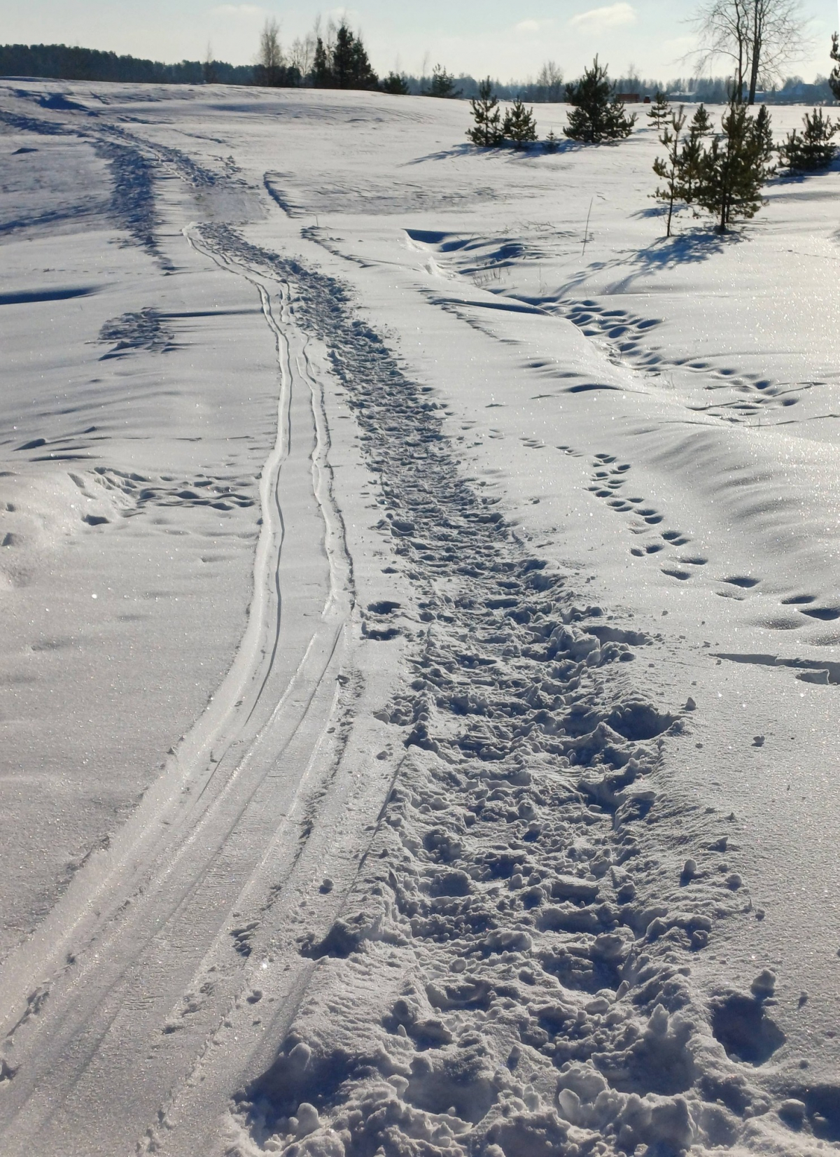 Jēkabpils Radio1 ziņas 2026.gada 4.februārī